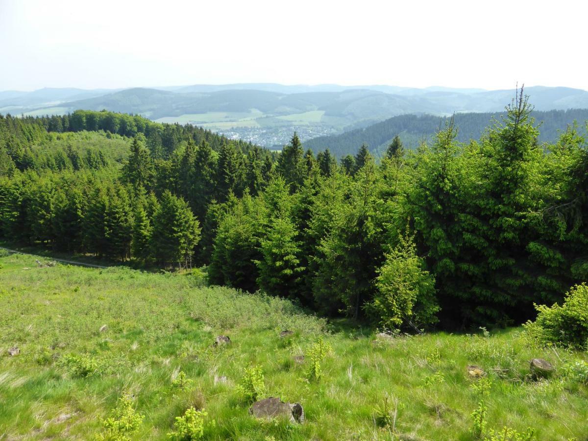 Appartement Kueken Winterberg Extérieur photo